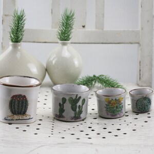 May include: Five small ceramic pots with cactus designs. The pots are white with brown rims and feature different cactus illustrations. The pots are arranged in a row on a white surface.