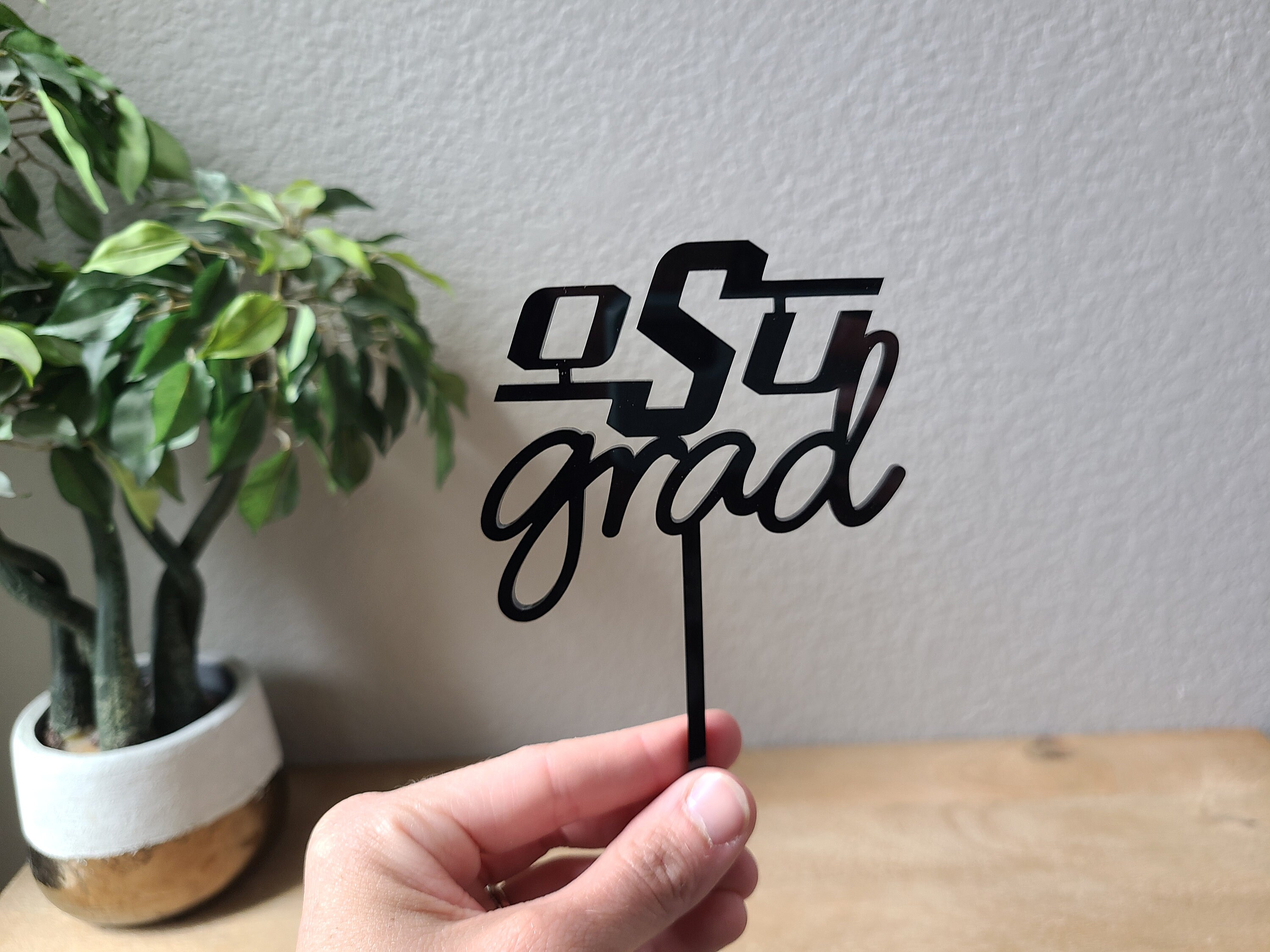 Graduation Cake Topper Various Colored Cake Topper Graduation