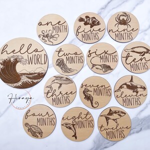 Jalons mensuels de Sea Life Baby - Animaux marins, Animaux marins