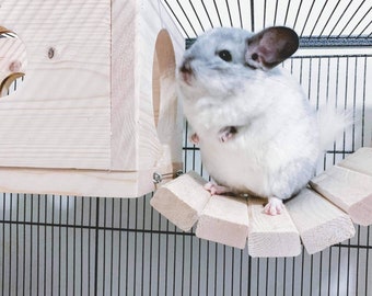 ceramic chinchilla house