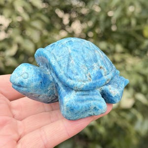 May include: A carved blue gemstone turtle figurine. The turtle is a vibrant shade of blue with a textured surface. The figurine is held in a hand, with a blurred green background.