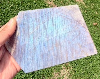May include: A flat, polished slab of labradorite gemstone with a trapezoidal shape. The surface displays a prominent iridescent blue flash, known as labradorescence, across its translucent, pale grey base with visible internal fractures.