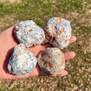 May include: Four rounded stones with a blue-grey hue and brown veining are held in a hand. The stones have a textured surface and vary slightly in size and shape. The background is blurred green grass.