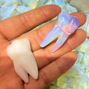 Puede incluir: Dos tallas con forma de diente sobre una palma. Una talla es de color blanco opaco con un acabado liso, mientras que la otra es de vidrio ópalo translúcido con reflejos iridiscentes azules y rosas que cambian con la luz y muestran la raíz.