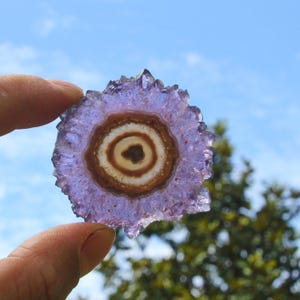 Peut inclure: Une tranche de stalactite d'améthyste circulaire présentant un bord cristallin violet translucide et un motif central en forme de cible avec des anneaux concentriques de couleurs blanche, brun clair et brun foncé, montrant des formations minérales.