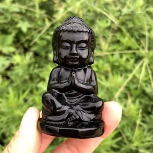 May include: A small, black Buddha statue in a seated meditation pose. The figurine has a glossy finish and is held against a backdrop of green foliage. The Buddha's hands are clasped in prayer.