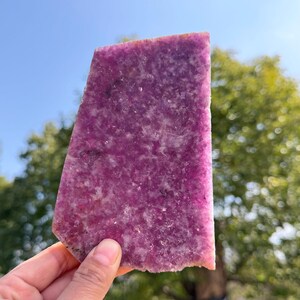 Puede incluir: Una mano sostiene una losa rectangular de piedra rosa-púrpura con bordes irregulares. La piedra tiene una superficie rugosa y texturizada con variaciones de color. El fondo muestra un follaje verde borroso y un cielo azul.