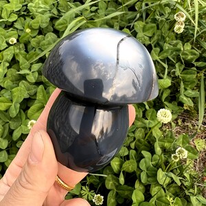May include: A dark grey mushroom-shaped ornament. The mushroom has a smooth, reflective surface and a rounded cap. The stem is also rounded. The object is held in a hand. The background is green foliage.