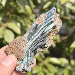 May include: A close-up of a mineral specimen featuring a cluster of elongated, iridescent crystals. The crystals display shades of blue, green, and silver, set against a matrix of brown and tan rock. The natural formation is held in a hand.