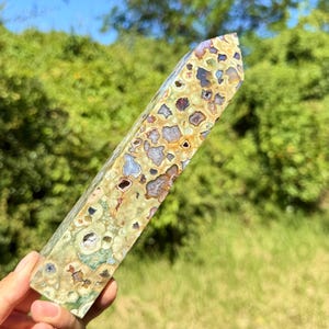 以下が含まれることがあります： オリーブグリーン、タン、ブラウン、クリームの色合いで、円形や角張ったインクルージョンが複雑な模様を描く磨かれたクリスタルのタワー。細長く多面的な表面全体に、小さなきらめくドゥルージーの空洞が点在しています。