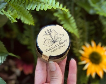 Peut inclure: Un petit pot rond de baume au plantain et à la citronnelle avec une étiquette beige ornée d'un dessin au trait noir d'une feuille de plantain et du texte Plantain Salve Lemongrass imprimé en police noire sur le couvercle.