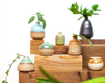 Peut inclure: Une collection de petits vases en céramique de différentes couleurs et styles, disposés sur des étagères en bois. Les vases sont remplis de petites plantes et de verdure.