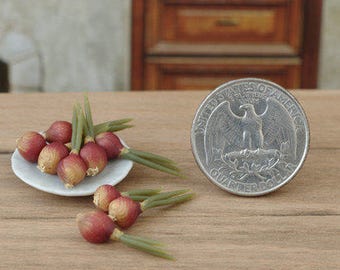 5 pieces. Red onion. Bulb onions. Onion sprouting. Miniature bow. Miniature dollhouse. Miniature food. Scale 1/12