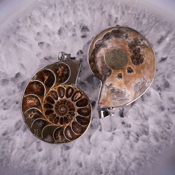 One Pair Natural Rare Mini Ammonite Fossil Conch Pendant,Quartz Crystal Fossil Specimen,Home Decoration,Reiki Heal Pendant,From Madagascar