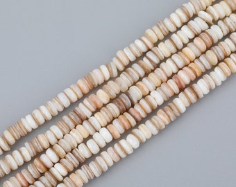 Natural Conch Fossil Gemstone Loose Beads For Jewelry Making 7 Pcs 25-30mm 