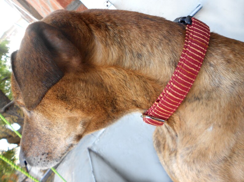 Custom ID silk blend dog collar/ rustic silk woven dog collar/ Etsy