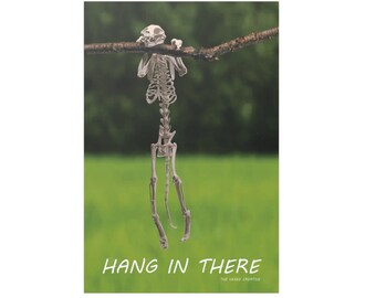 Hang in There Ideas Hang in There Cat, Hanging, Cat Posters, Unique ...