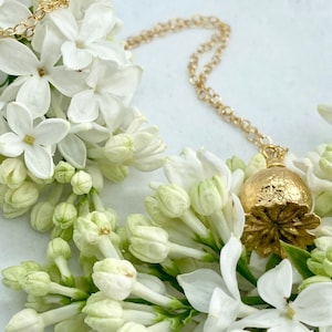 Gold Poppy Seedhead Necklace, Nature Necklace, Gift, Wife, Norfolk Handmade, Botanical Jewellery