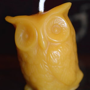 100% Pure Beeswax Candle- Owl by Hillside Honey Apiary