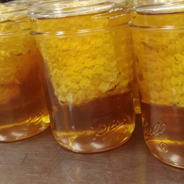 Raw honey with honeycomb chunk comb 10.5 oz. Half Pint Mason jar, Honey in Mason Jar, Honey Comb in Mason Jar