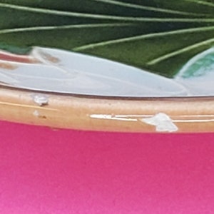 Może przedstawiać: Zbliżenie na dolną krawędź ceramicznego talerza z zielonym, brązowym i białym wzorem kwiatowym. Talerz ma niewielki odprysk na krawędzi.