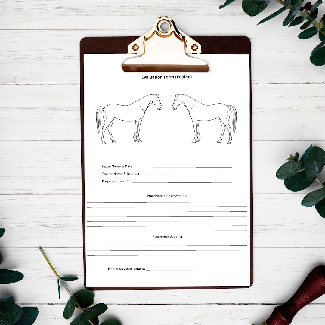Equine Care Report Form Digital Download Etsy