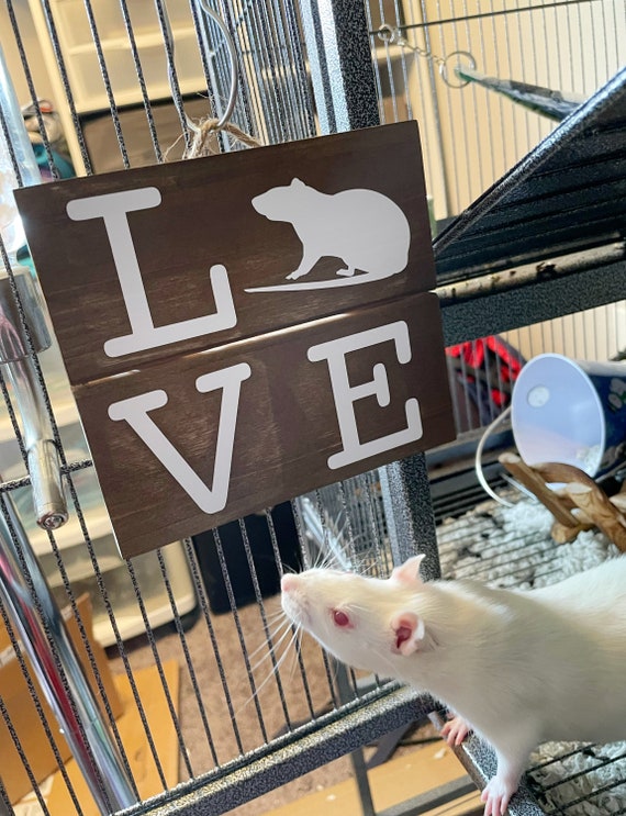 Rat Love Wooden Sign Pet Rat Cage Accessory Wall Art Etsy UK