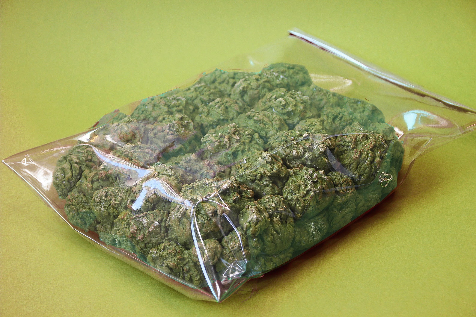 Weed bag bag weed purse weed handbag drugs weed jewelry drugs Etsy