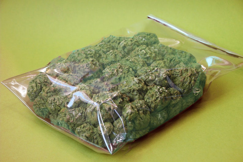 Weed bag bag weed purse weed handbag drugs weed jewelry drugs Etsy