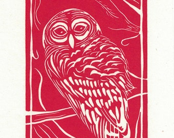 Original "Barred Owl" #19/50