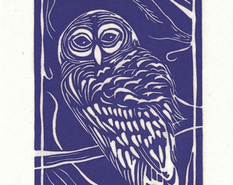 Discounted original "Barred Owl" #13/50