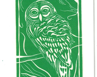 Small greeting card green “Barred Owl“ with plain edge