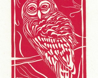 Original "Barred Owl" #18/50