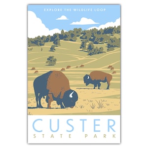 Cartolina del parco statale di Custer
