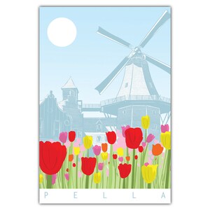 Pocztówka z tulipanami Pella