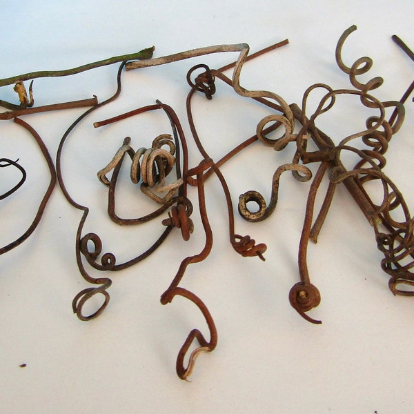 25 dried Grapevine Twigs, Craft Botanicals, Fairy Garden Supply, Twig Accents, Real Grape Vines