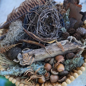 Huge Foraged Forest Mix, Forest/Nature Craft Kit, Real Bird Nest, Nature Bowl Filler