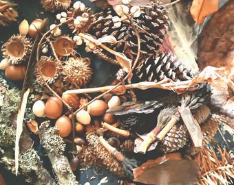 Kit de decoración con elementos botánicos secos del bosque, manualidades inspiradas en la naturaleza, adornos de escritorio.