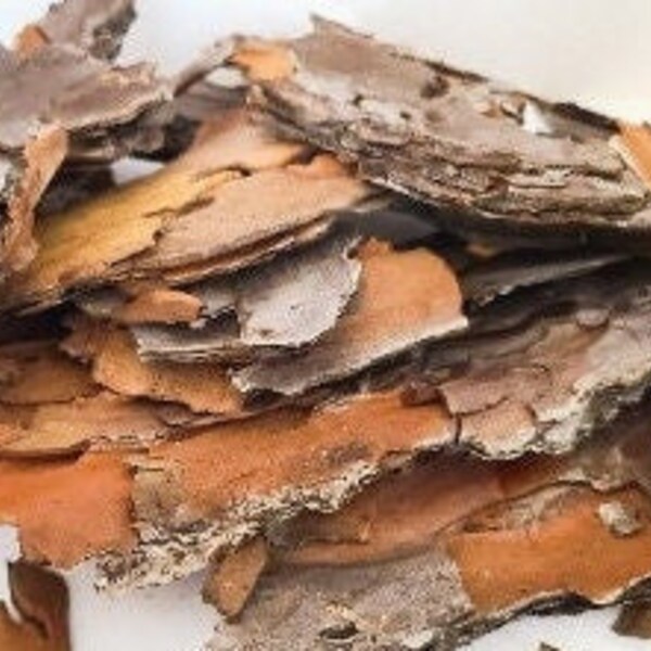 Pine Tree Bark, Thin craft bark, Organic Pine Tree Bark for Crafts