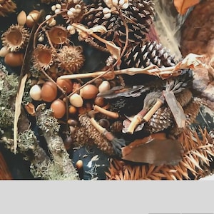 May include: A collection of natural forest elements including brown pinecones, smooth acorns with caps, dried twigs, light-colored berries, lichen-covered branches, and various fallen leaves arranged in a dense, textured cluster.