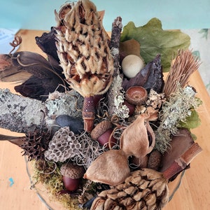 May include: A decorative bowl filled with natural elements, including dried flowers, pods, acorns, and moss. The bowl is made of clear glass and has a rustic, natural aesthetic.
