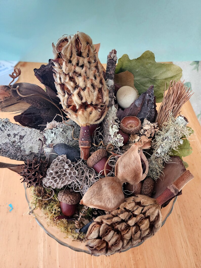 May include: A decorative bowl filled with natural elements, including dried flowers, pods, acorns, and moss. The bowl is made of clear glass and has a rustic, natural aesthetic.