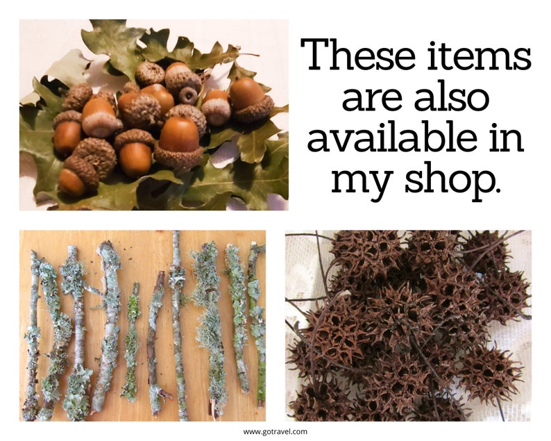 May include: A collection of acorns, twigs with lichen, and dried spiky seed pods. These items are also available in my shop.