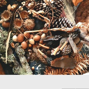 Lg Forest Findings Collection, Dried Botanicals, Forest Decor, Photography Props