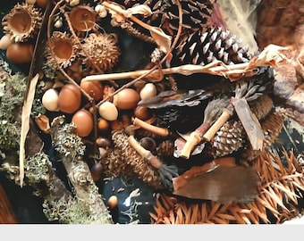 Lg Forest Findings Collection, Dried Botanicals, Forest Decor, Photography Props