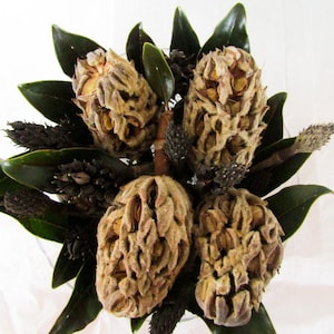 May include: A bouquet of dried magnolia flower buds with brown, tan, and cream colors. The flowers are arranged in a cluster with green leaves.
