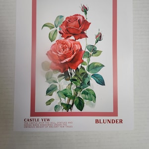 8&quot; x 11&quot; Flower Market Blunder Art Print | Inspired by One Dark Window by Rachel Gillig | Fantasy Wall Decor Birthday Gift Book Club Favor