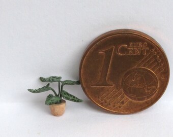 Elegant exotic plants 1/144 scale, hand made.