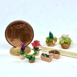 May include: A collection of miniature potted plants, including a purple lavender, a red flower, a yellow flower, a green plant, and two pink flowers. The plants are in terracotta pots and are arranged on a white surface. A 1 Euro cent coin is included for scale.