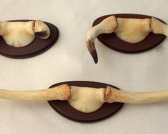 Miniature horns trophy in hand-painted resin, original model, 1/12 scale